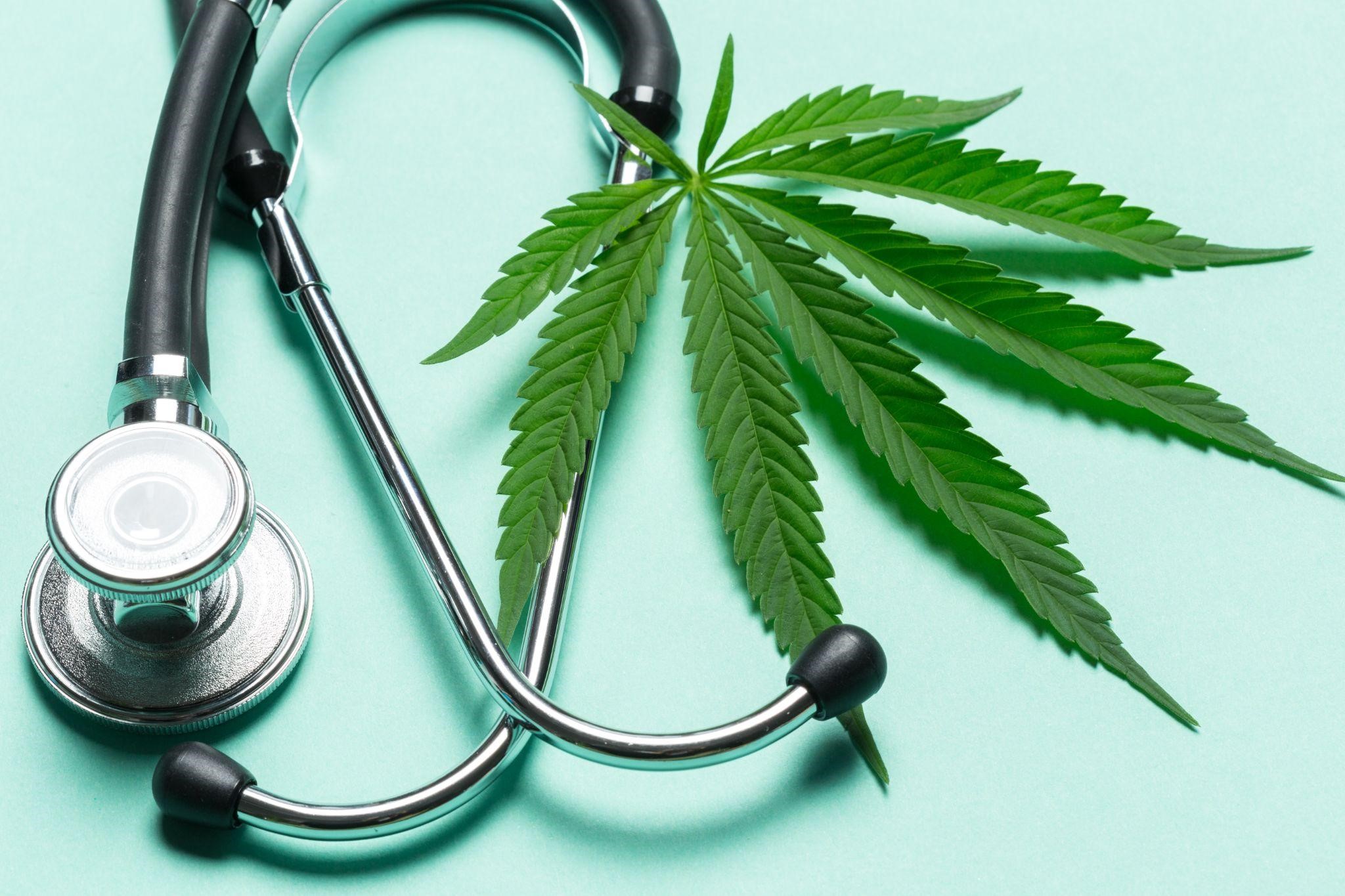 Dying to Get High: a Case for Medical Marijuana  