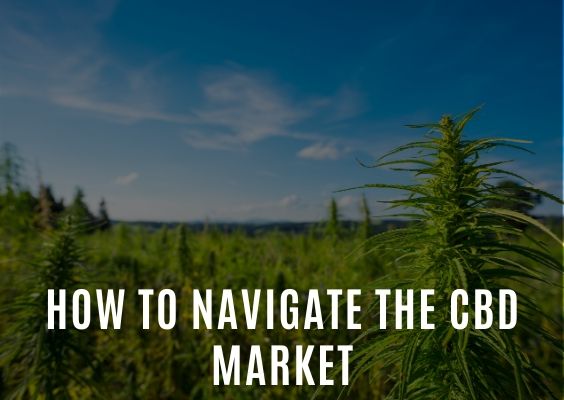 How to Navigate The CBD Market - What to Look For?
