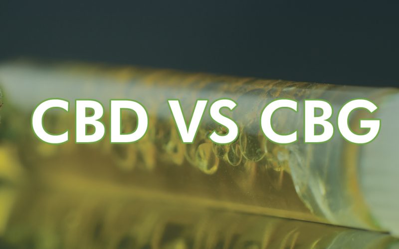 CBD and CBG - Side by Side Comparison & Review